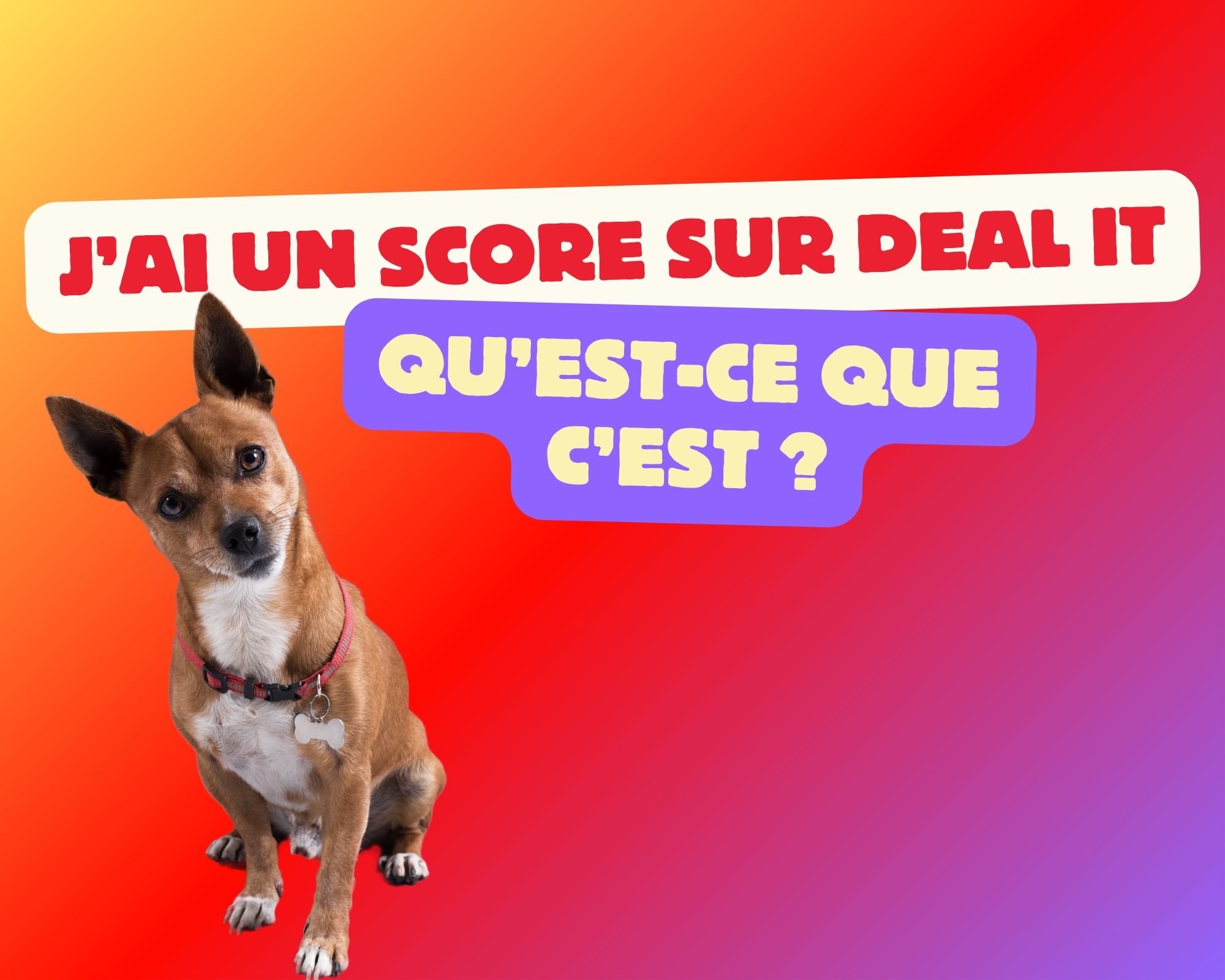 Comprendre mon score Deal it